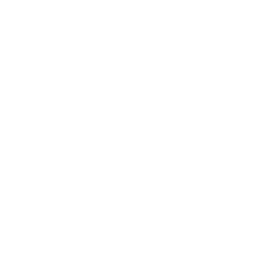 Back Icon